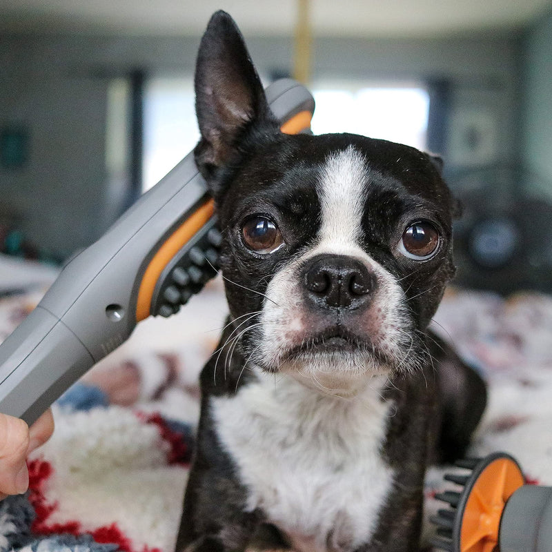 Buzz Therapeutic Brush Vibration Pet Massager for Dogs and Cats Designed to Help Soothe Tension, Increase Circulation and Relieve Tight Muscles - PawsPlanet Australia