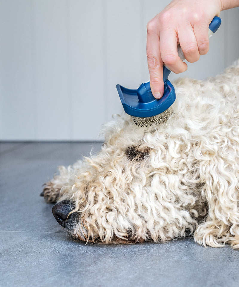 Mikki Dog Puppy Stainless Steel Comb and Hard Pin Slicker Brush, for Cockapoos, Labradoodles, Cavapoos and Golden Doodles - Starter Set 2pcs, Blue, Grey,Small Grooming Kit - PawsPlanet Australia