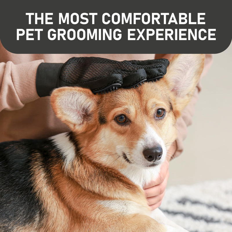 Maxpower Planet Hair Brush & Grooming Gloves for Dogs and Cats - Black - PawsPlanet Australia