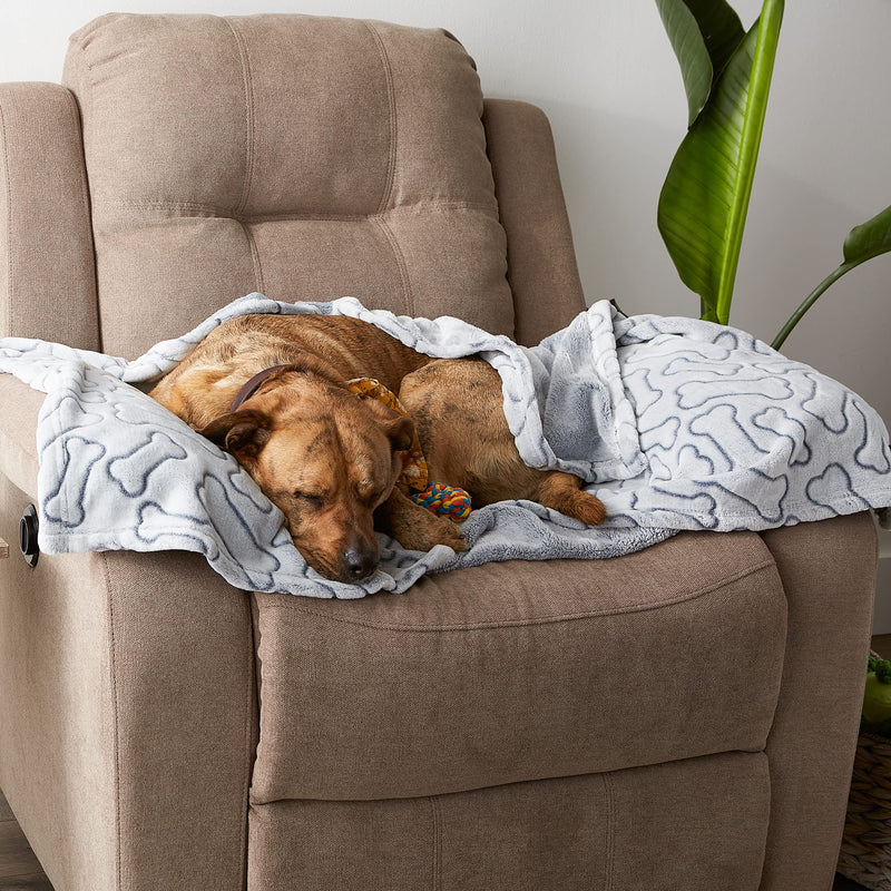 Bone Dry Embossed Bone Print Pet Blanket, 36x48", Gray 36x48" - PawsPlanet Australia