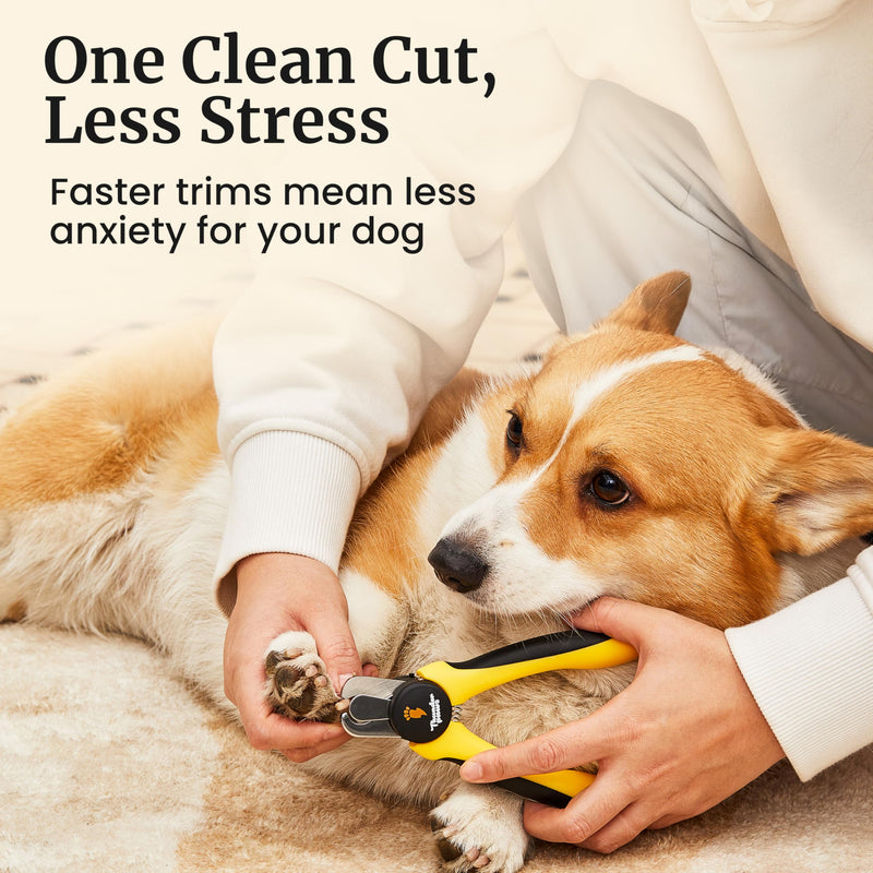 LED Dog Nail Clippers with Light, Trimmers with Protective Guard, Quick Sensor, Safety Lock and Nail File - Suitable for Large and Small Dogs & Cats (Yellow, LED) Medium-Large (LED) Yellow - PawsPlanet Australia