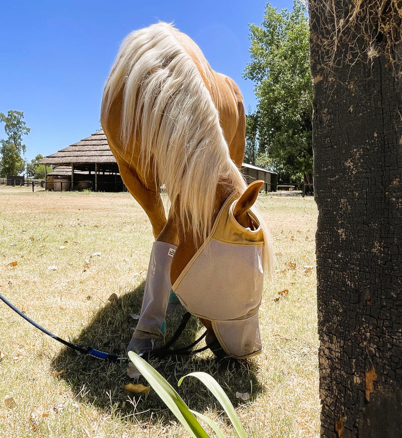 Horse Fly Mask with Nose Cover 70% Uv Protection Horse Size - PawsPlanet Australia