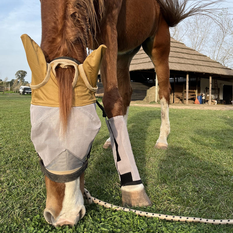Horse Fly Mask with Ears – Fly Masks with Ears - Non-Heat Transferring Mesh – 70% Uv Protection - Breathable Equine Fly Mask – Size Horses – Soft and Comfortable Face Flymask - PawsPlanet Australia