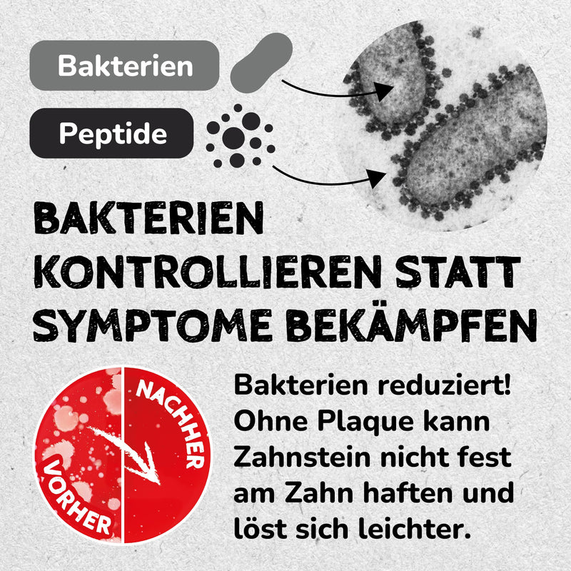 Qchefs Papie Cat Toothbrush Flakes Bulk Pack - Natural Dental Care Against Bad Breath & Tartar as Tooth Cleaning & for Tartar Removal in Large Only Paper Bag - Plastic-Free & Recyclable