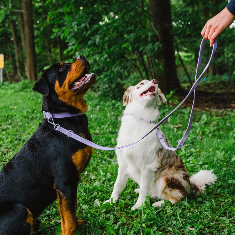 Waterproof Dog Leash | BearBone Double Ended Dog Leash | PVC Rubber Dog Leash with Dual Clip for Versatility | Lilac Dog Leash for Small Dogs (Lilac, Small) - PawsPlanet Australia