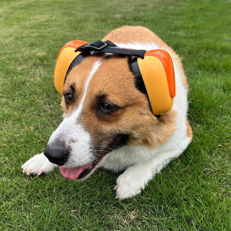 derYEP Dog Earmuffs GEN2 For Hearing Protection 30dB NRR ear muffs noise protection (Small, Nocturne Grey) Small