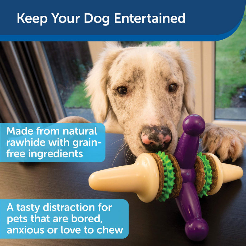 PetSafe Busy Buddy Slab o’ Sirloin Dog Toys – Treat Ring Holding Chew Toy – BPA Free Rubber – Beef Scented – Interactive Pet Puzzle for Boredom or Separation Anxiety – Small to Large Dogs Medium - PawsPlanet Australia
