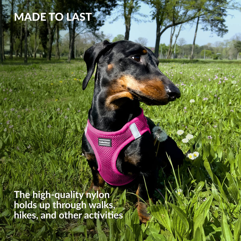 CollarDirect Step-in Reflective Dog Harness - Any Weather Air Mesh for Small and Medium Dogs Easy to Put On and Off (Size S, Pink) - PawsPlanet Australia
