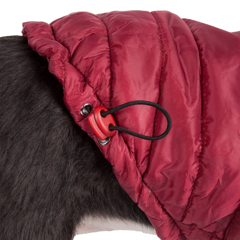 Pet Life Sporty Avalanche Lightweight Folding Winter Dog Coat - Adjustable Dog Jacket with a Concealed Zippered Collar and pop-Out Hood - Pet Coat for Small Medium Large Dogs 1 Red - PawsPlanet Australia