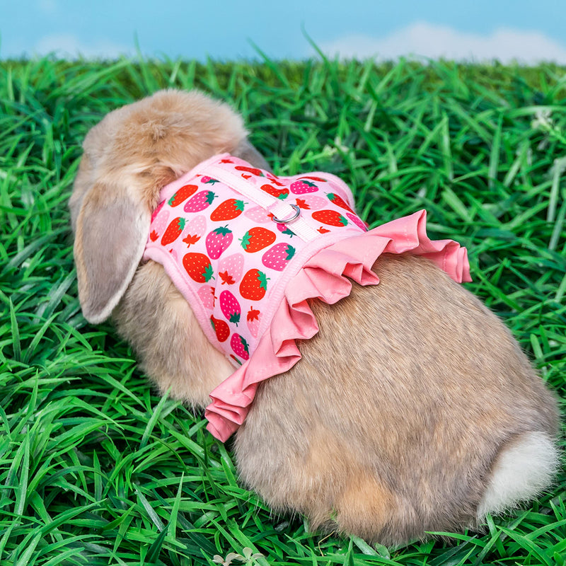 Rabbit Harness and Leash for Walking Escape Proof - Cute Carrot Pattern Mesh Breathable Bunny Vest Harness Outdoor Camping Hiking Training - also suit for Ferret Kitten Puppy Small Animals L (neck:7"-11.8" chest:9.8"-15.7") Pink - PawsPlanet Australia