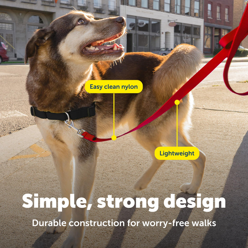 PetSafe Nylon Dog Leash – Strong, Durable, Traditional Style Leash with Easy to Use Bolt Snap – 1" x 6', Red - PawsPlanet Australia