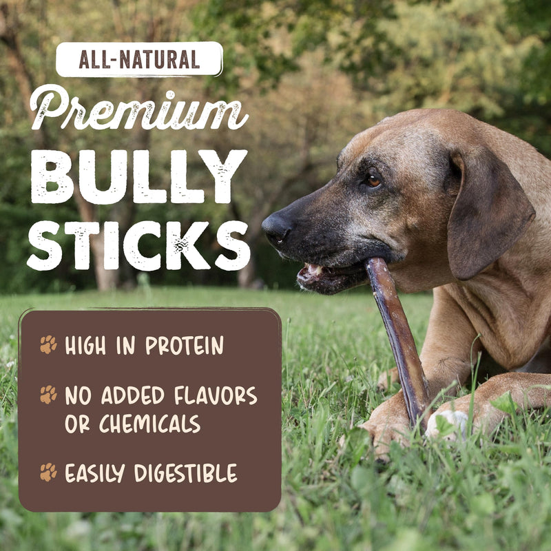 Mighty Paw Long Lasting 12" Bully Sticks for Dogs - All Natural Grass Fed Beef Chews. Lower Odor Dog Bully Sticks for Large Dogs, Medium and Small Breeds. Single Ingredient Treats - PawsPlanet Australia