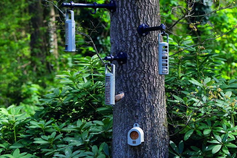 Rosewood Recycled Seed, Peanut and Fat Ball Feeder Set for Wild Bird Food, 25554, Green, Pcak of 3 - PawsPlanet Australia