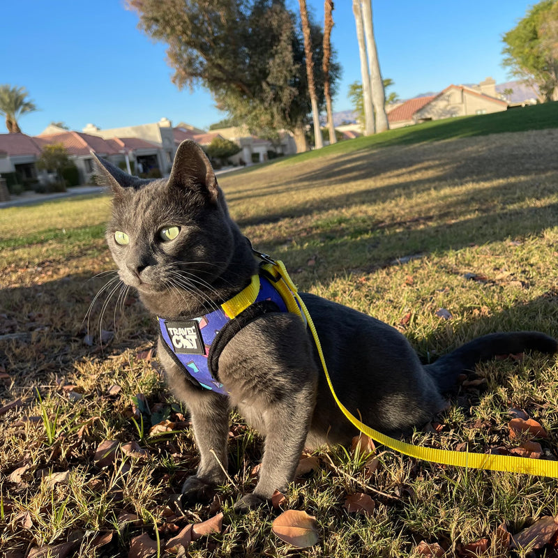 Travel Cat Harness and Leash Set - Adjustable Fit Harness and Reflective Strap - Comfort Walking Vest for Kitten for Outdoor Walking, Hiking (Medium, 90s Cat) Medium - PawsPlanet Australia