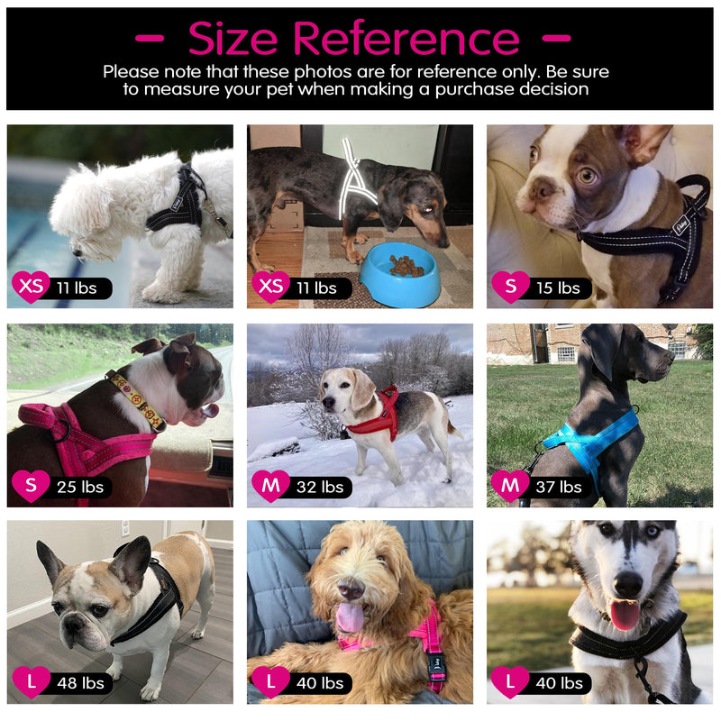 Didog No Pull Dog Harness with Soft Mesh Padded,Reflective & Quick Fit Light Weight Dog Strap Vest Harness,Easy for Walking Training (S:Chest 18-22", Mesh-Hot Pink) S: Chest 18-22", Fit 19-29 lbs Hot Pink - PawsPlanet Australia