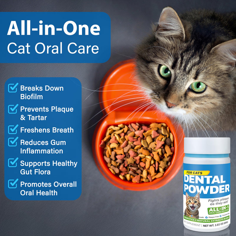 Cat Dental Care Powder Bad Breath Treatment for Cats Teeth, Mouth, Gums & Gut, Plaque Off,Tartar Control, Help Feline Gingivitis and Stomatitis, with Natural Extracts & Probiotics Cat Dental Powder - PawsPlanet Australia