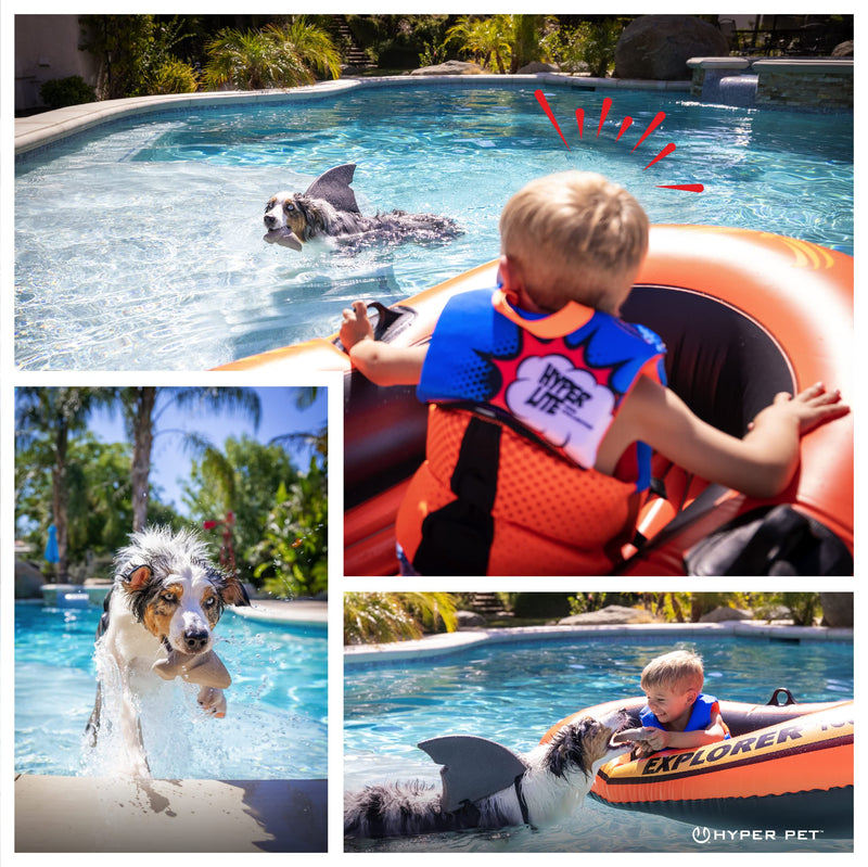 Hyper Pet Fossil Durable Dog Slow Feeder, Chew Toy, Interactive Toys (Bacon Flavored Long Lasting Durable Dog Chew Toy for Aggressive Chewers) Claw + Tooth-2 PK - for All Breeds 2 PACK - PawsPlanet Australia