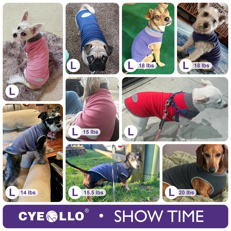 cyeollo 2 Pack Fleece Dog Sweater Stretchy Pullover Soft Dog Jacket with Reflective Stripe Lightweight Sweatshirt Pet Clothes Coats for Small Dogs Grey & Blue Large (14-20lbs) 2# Navy & Grey - PawsPlanet Australia