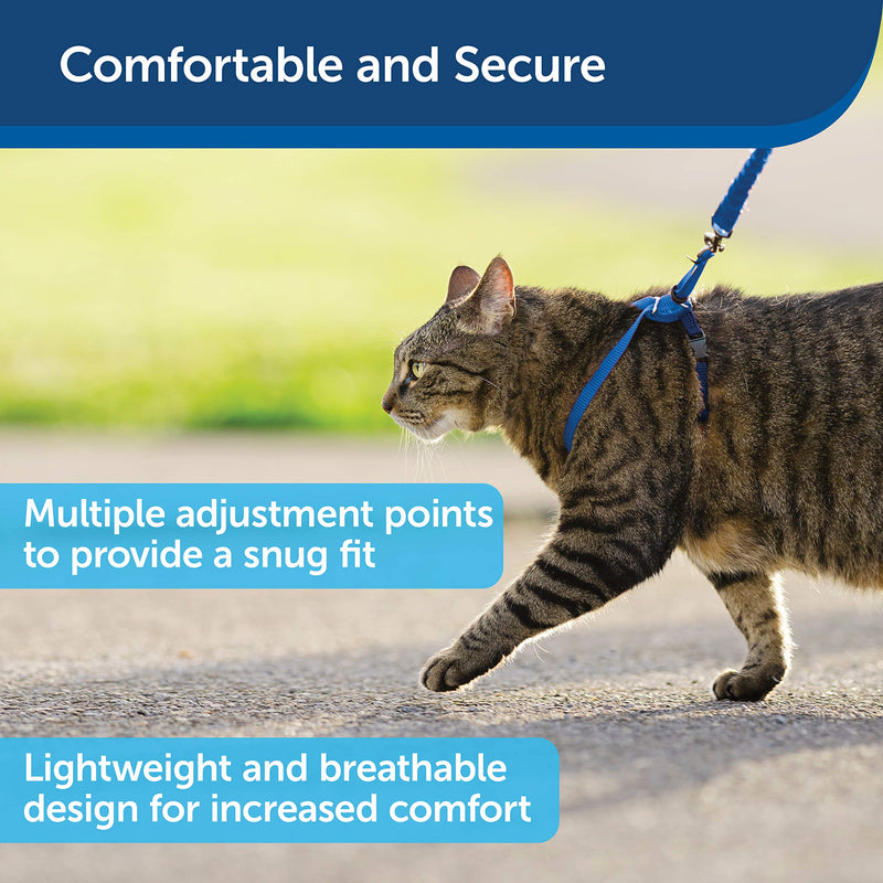 PetSafe Come with Me Kitty Harness and Bungee Leash, Harness for Cats, Large, Royal Blue/Navy, CWMK-L-RYL Large (Pack of 1)