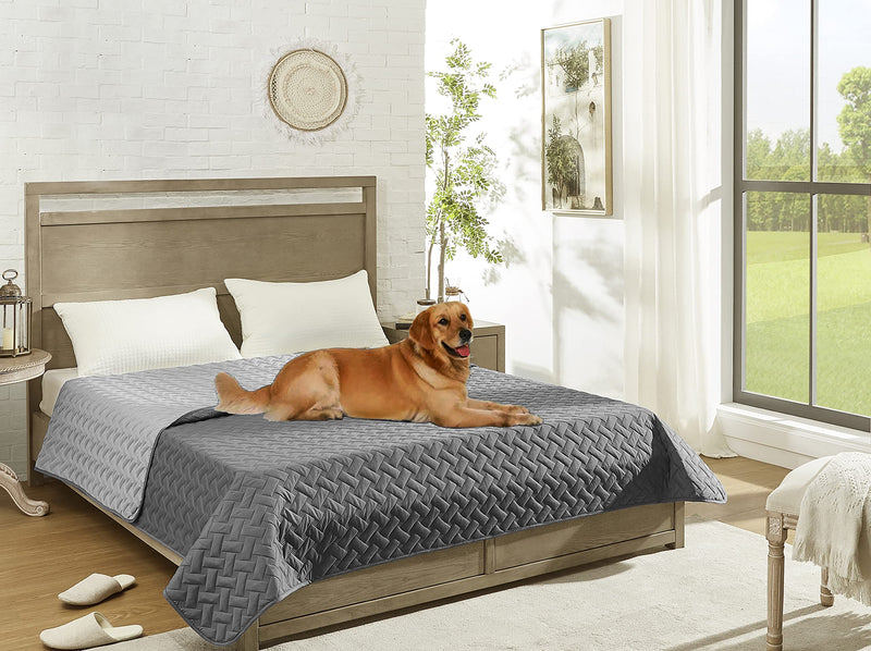 gogobunny 100% Double Sided Waterproof Dog Blanket Soft Pet Bed Cover Reversible Protect Furniture Couch Sofa Car for Puppy Cat Kids (Dark Grey/Light Grey, 52x82 Inch (Pack of 1)) 52x82 Inch (Pack of 1) Dark Grey/Light Grey - PawsPlanet Australia