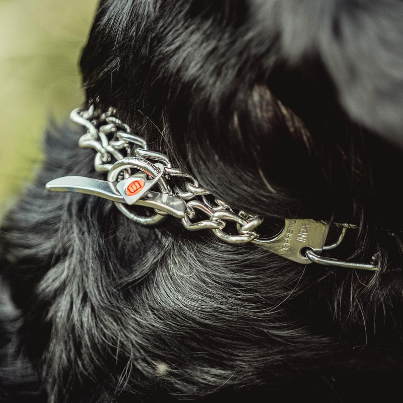 Herm. Sprenger Ultra-Plus Prong Dog Training Collar, Anti Pull Training Pinch Collar, (Stainless Steel, 3.0 mm Short Links x 18" Neck Size; 19-20" Chain Length) - Toggle Version Stainless Steel