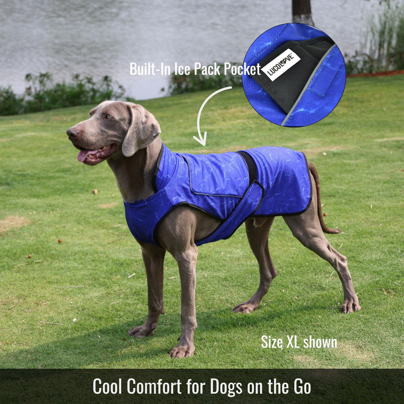 Dog Cooling Vest with Ice Pack – 2-Layer Evaporative Cooling Jacket with High Collar, UV Protection & Size-Matched Ice Pack – Cooling Vest for Dogs for Hot Weather (Blue Aqua, Small) Blue Aqua - PawsPlanet Australia