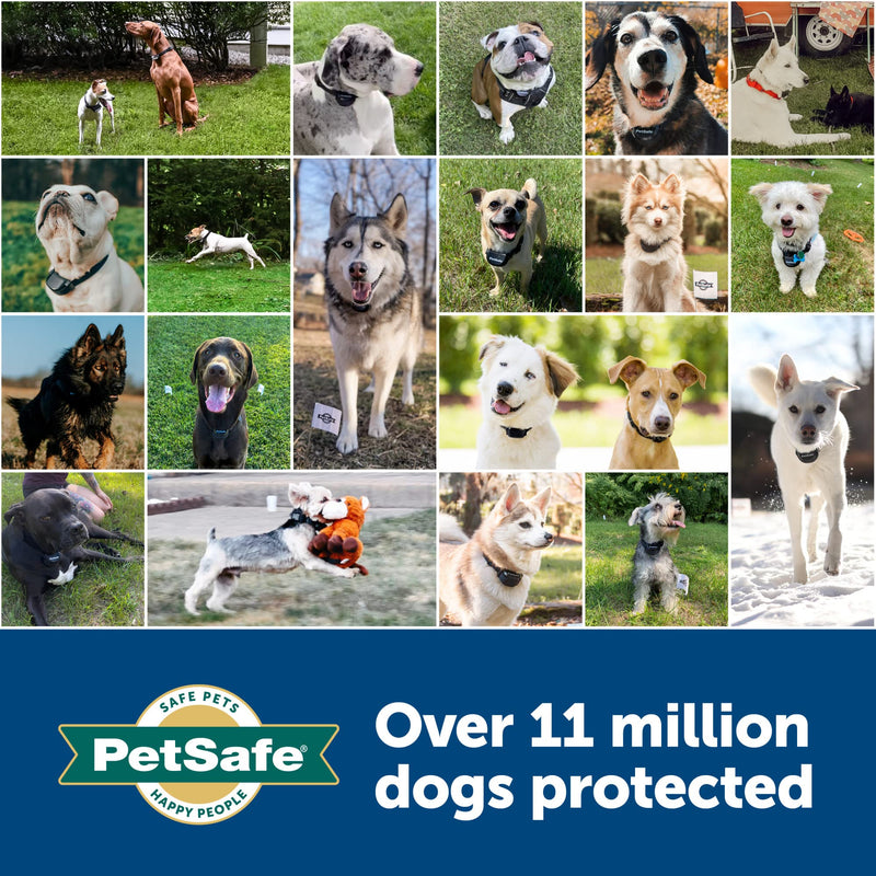 PetSafe Replacement Collar Strap with 2 Holes - Adjustable Design for In-Ground & Wireless Fence Collars - Lightweight Polyester - Secure, Comfortable Fit - PawsPlanet Australia