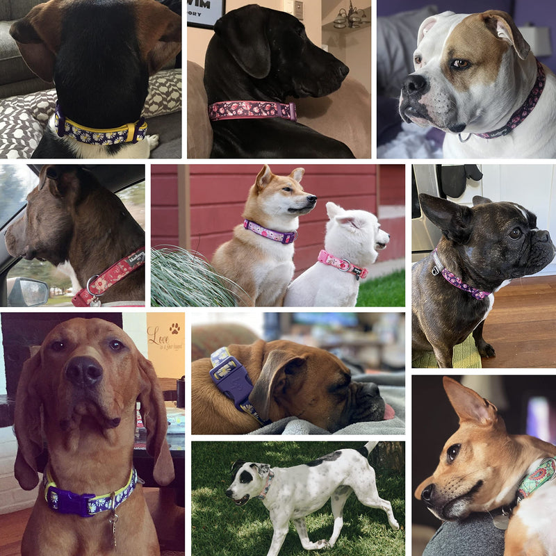 Blueberry Pet Soft & Comfy Pretty Posies Spring Garden Navy Padded Adjustable Dog Collar, Small, Neck 12"-16" - PawsPlanet Australia