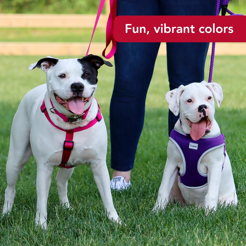 Coastal Pet Comfort Soft Reflective Wrap Adjustable Dog Harness - No-Pull Dog Harness for Small & Large Dogs - Purple - 1" x 28"–36" - PawsPlanet Australia