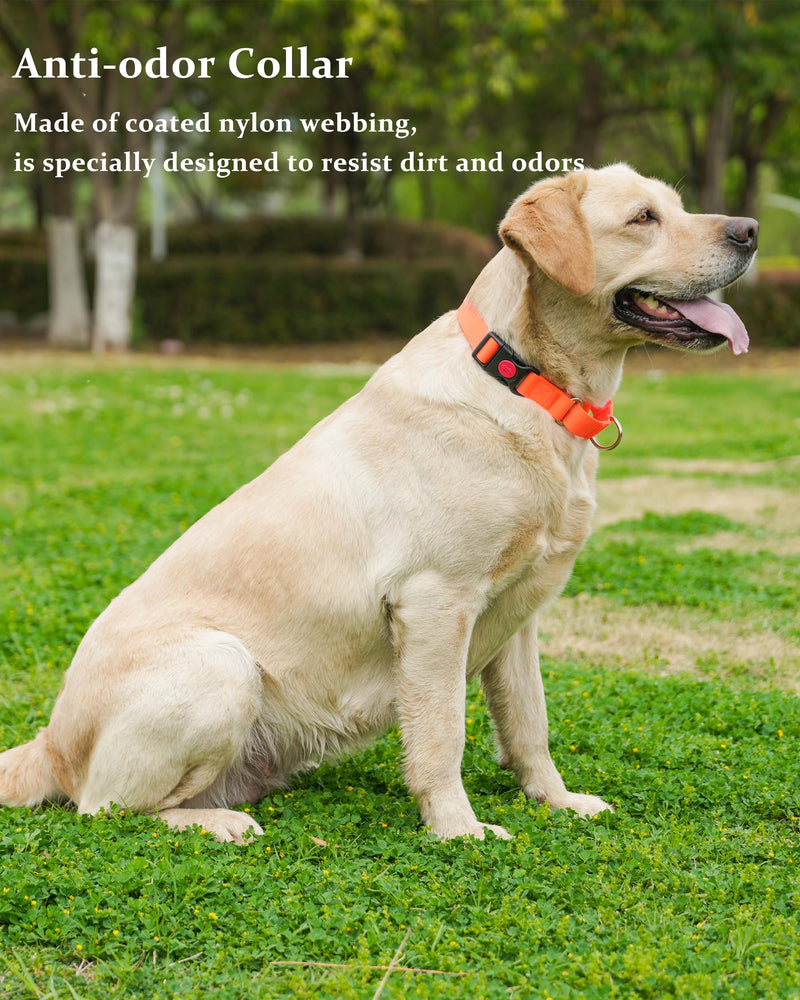 Waterproof Martingale Collar for Dogs,Easy to Clean Dog Collars with Safety Quick Release Buckle,Rubber Collar for Medium Large Dogs Walking Training (Orange, M (16.5-20.8inch)) M (16.5-20.8inch) Orange - PawsPlanet Australia