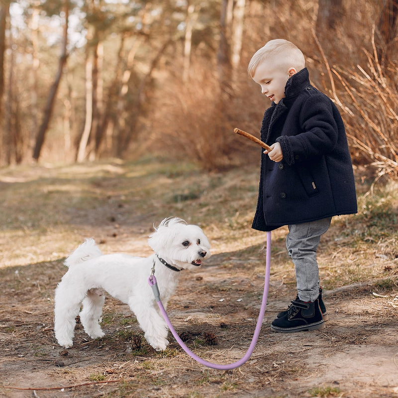 Mile High Life Dog Leash, with Comfortable Padded Handle, Purple Nylon Rope Leash with Steel Tips, Heavy Duty 4 Feet Pet Leashes (Pink,48 Inches) Nylon Rope - Purple - PawsPlanet Australia