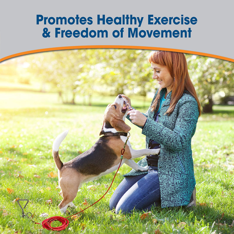 Four Paws Medium Weight Dog Tie Out Cable 20 Feet - PawsPlanet Australia