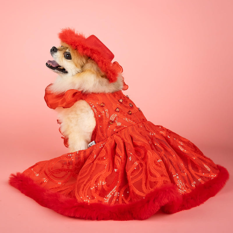 Doggy Parton Evening Star Gown - XS X-Small