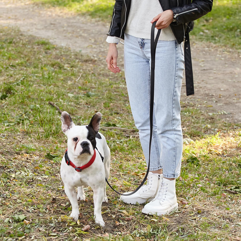 Dogline Biothane Waterproof Dog Leash Strong Coated Nylon Webbing with Black Hardware Odor-Proof Easy to Clean High Performance for Small or Large Dogs Made in USA 4 or 6 ft Lead, Black W1/2" x L6' - PawsPlanet Australia