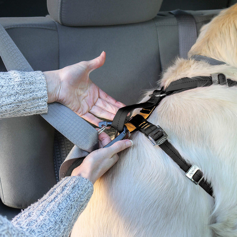 Kurgo Tru-Fit Enhanced Strength Dog Harness - Crash Tested Car Safety Harness for Dogs, No Pull Dog Harness, Includes Pet Safety Seat Belt (Black, Medium) Crash Tested Certified Buckles Medium (Pack of 1) Black - PawsPlanet Australia