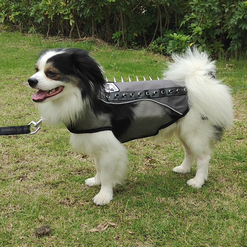 Spike Mesh Dog Harness Summer Reflective Jacket Waterproof Coat Cool Vest for Small Medium Large Dogs Gray Small - PawsPlanet Australia
