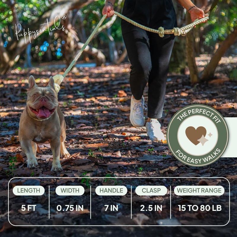 Braided Cotton Rope Dog Leash for Medium & Large Dogs – Enjoy Tangle-Free Walks with Soft Comfortable Grip & Reliable Control – Durable for Daily Walks, Training & Special Moments - Warm Cream - PawsPlanet Australia