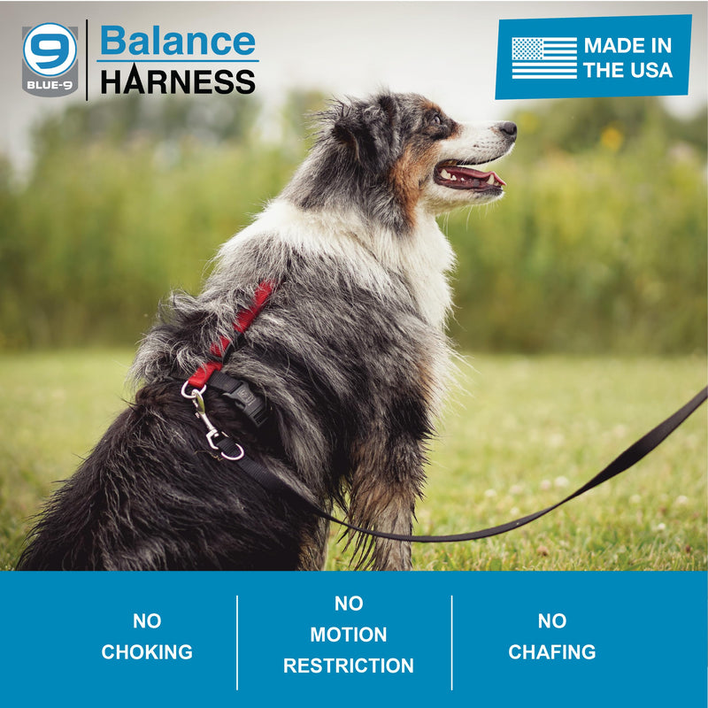 Blue-9 Buckle-Neck Balance Harness, Fully Customizable Fit No-Pull Harness, Ideal for Dog Training and Obedience, Made in The USA, Red, Medium M (Ribcage: 21"-32") - PawsPlanet Australia