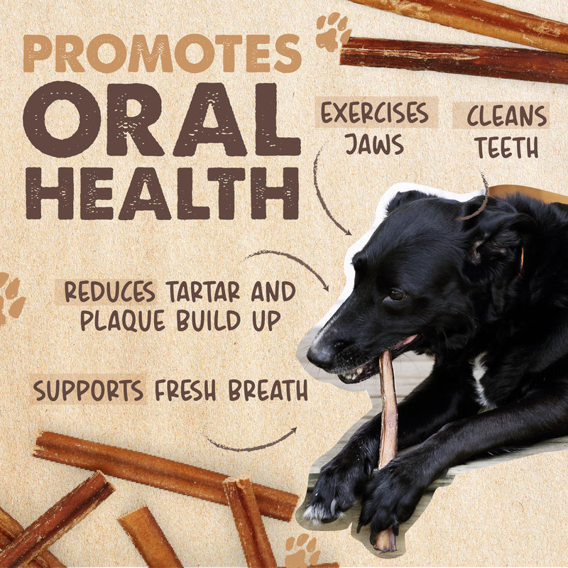 Mighty Paw Long Lasting 12" Bully Sticks for Dogs - All Natural Grass Fed Beef Chews. Lower Odor Dog Bully Sticks for Large Dogs, Medium and Small Breeds. Single Ingredient Treats - PawsPlanet Australia