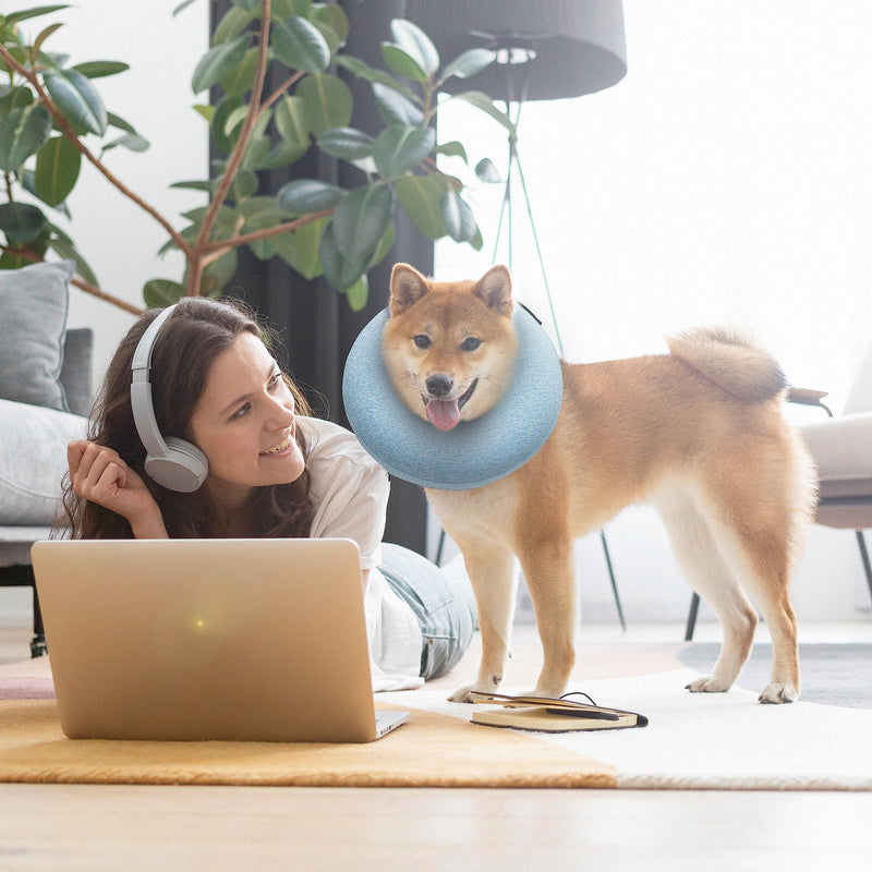 Big Ant Protective Inflatable Collar for Dogs and Cats, Soft Cone for Dogs After Surgery, Dog Neck Donut Collar, Dog Cone Collar Soft Pet Recovery Collar Does Not Block Vision E-Collar (Medium, Blue) [Neck:8"-12"] Medium