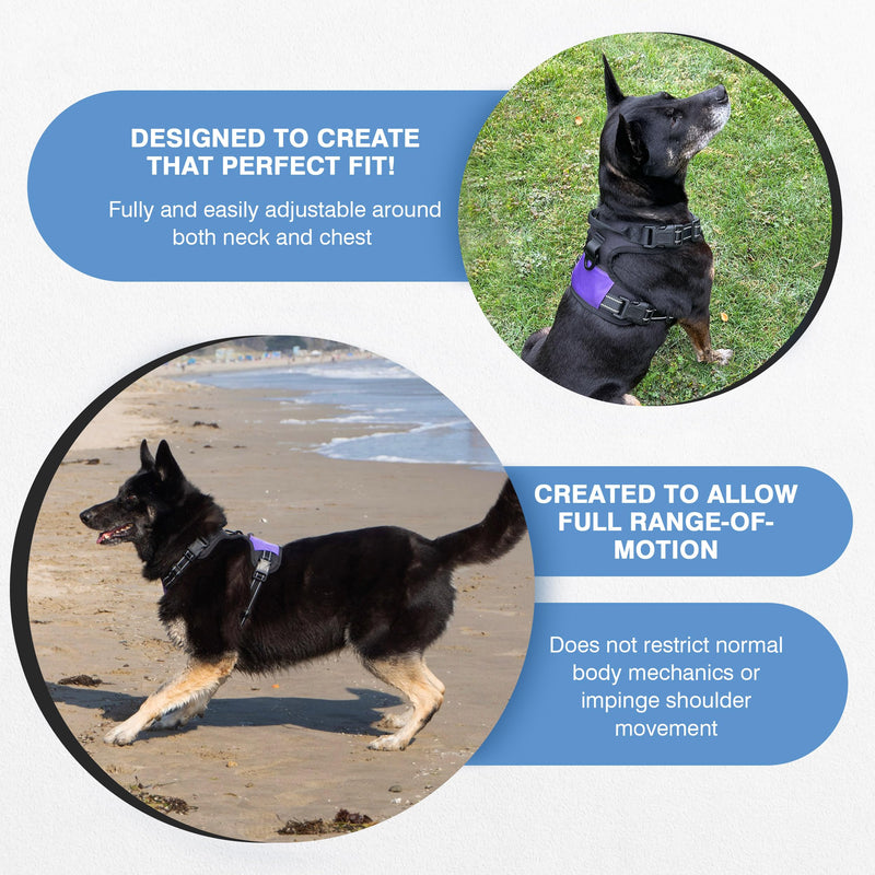 The North Star Dog Harness™ - Comfortable, Fully Adjustable, Designed to Reduce Pulling, Escape Resistant, Durable, fastens Easily and securely with Airtag Holder (Black/Grey, S) Black/Grey - PawsPlanet Australia