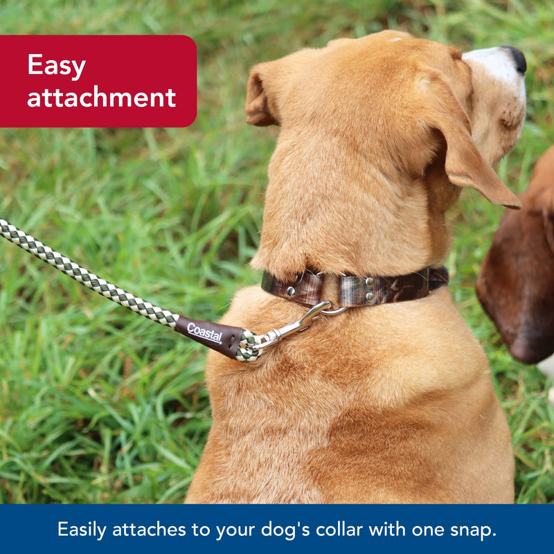 Water & Woods Braided Rope Snap Dog Leash by Coastal Pet - Durable Leash for Dog - Comfortable Pet Leash - Classic Swivel Snap for Tangle-Free Walks - Green, 1/2" x 6' - PawsPlanet Australia
