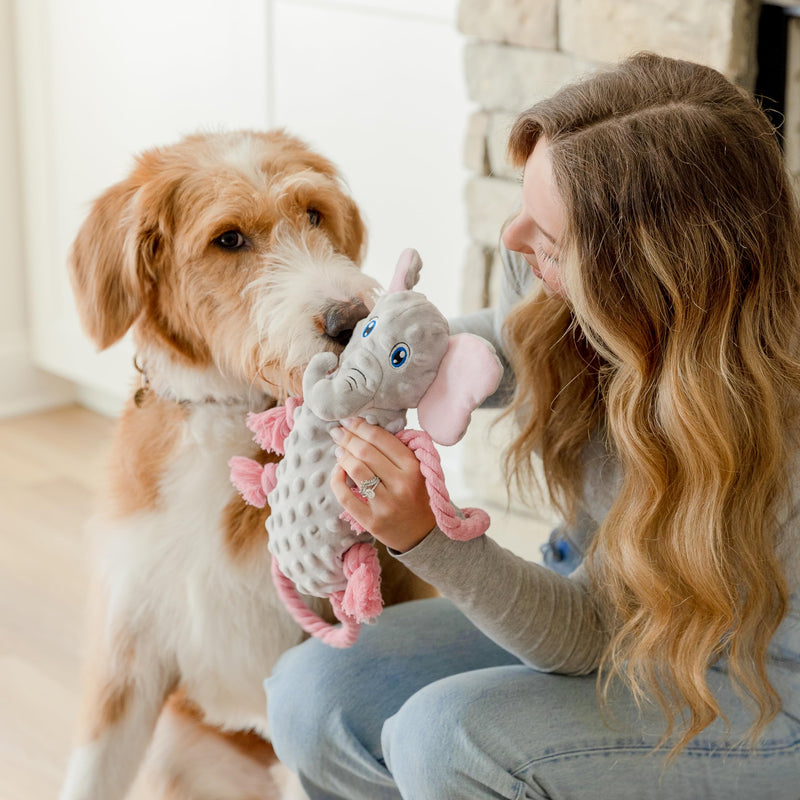 Squeaky Dog Stuffed Animals Chew Toy - Crinkle Paper Tug of War Rope Plush Dog Toy - Soft Tough Squeaker Dog Entertainment Toys for Home Alone - Fun Boredom Busters for Dogs - Elephant - PawsPlanet Australia