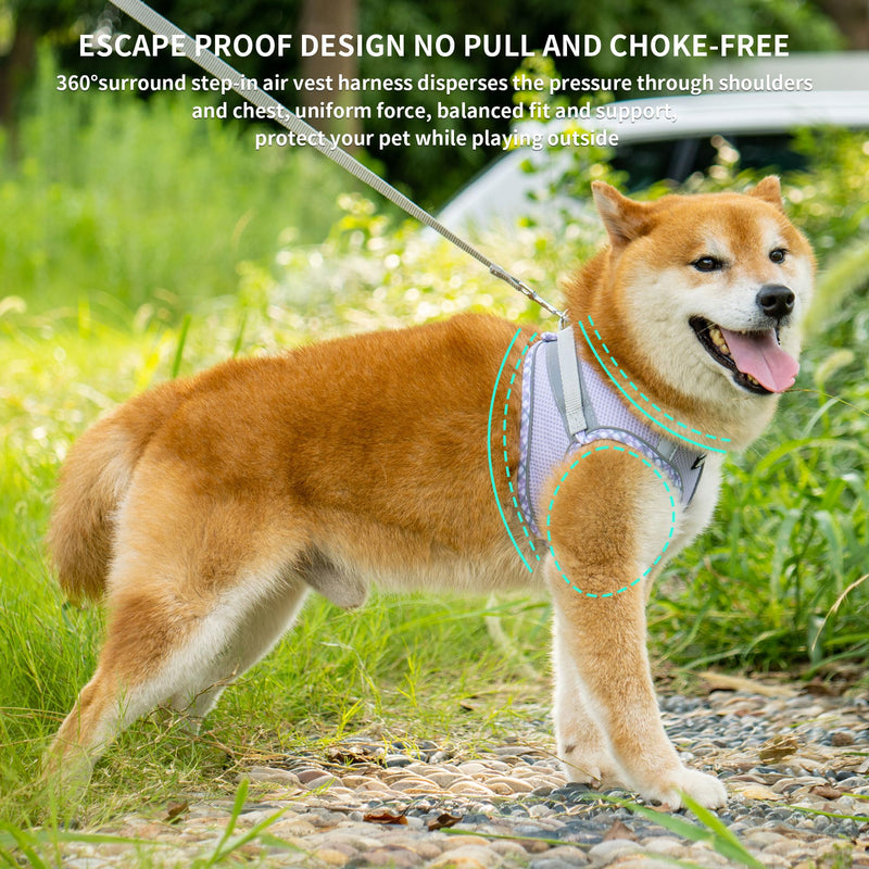 AIITLE Durable Dog Harness and Leash Set for Walking, Step in Puppy Harness, Spring Soft Breathable Pet Supplies, Reflective Bands, for Extra Small Dogs and House Cats Purple XXXS XXXS(Chest: 8.5 - 10") - PawsPlanet Australia