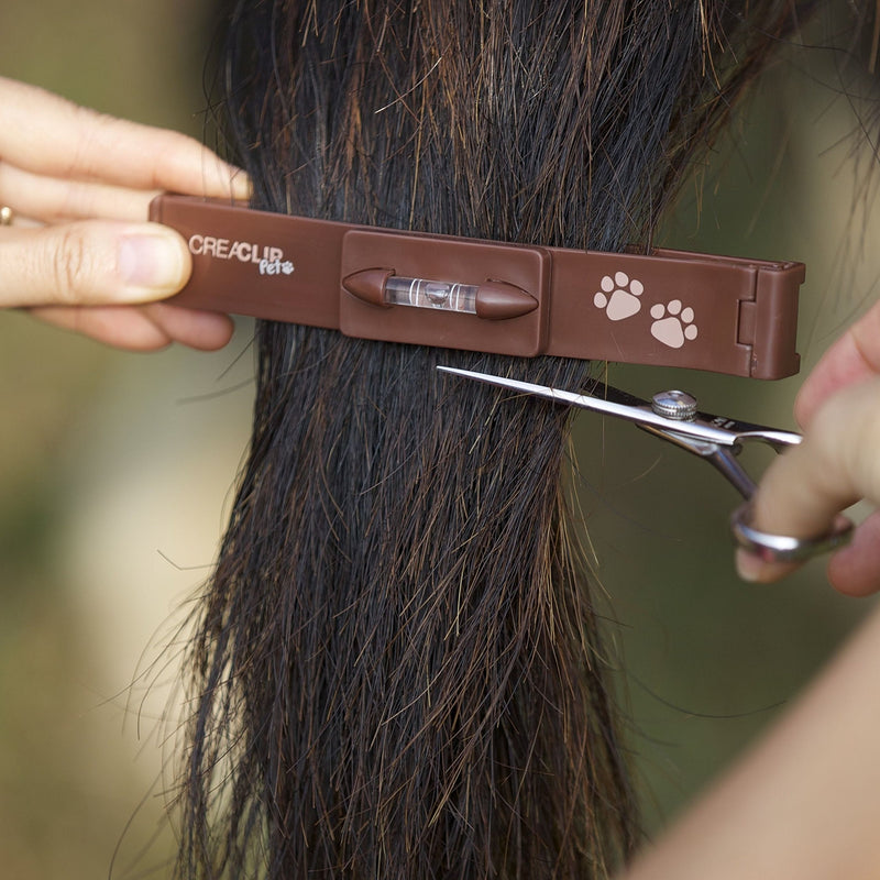 Pet - Quiet Dog Cat Horse Pet Grooming Kit - Low Noise Pet Grooming Clip Cordless for Sensitive Pets - PawsPlanet Australia