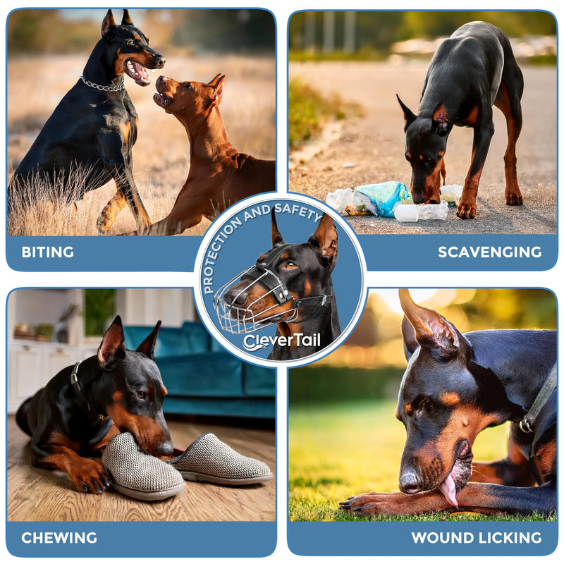 Metal Doberman Muzzle for Large Sized Dog - Cage Muzzles for Barking and Prevent Biting - Steel Wire Basket Muzzle for Medium and Large Dogs Doberman, Collie, Belgian Malinois, Husky etc. - PawsPlanet Australia