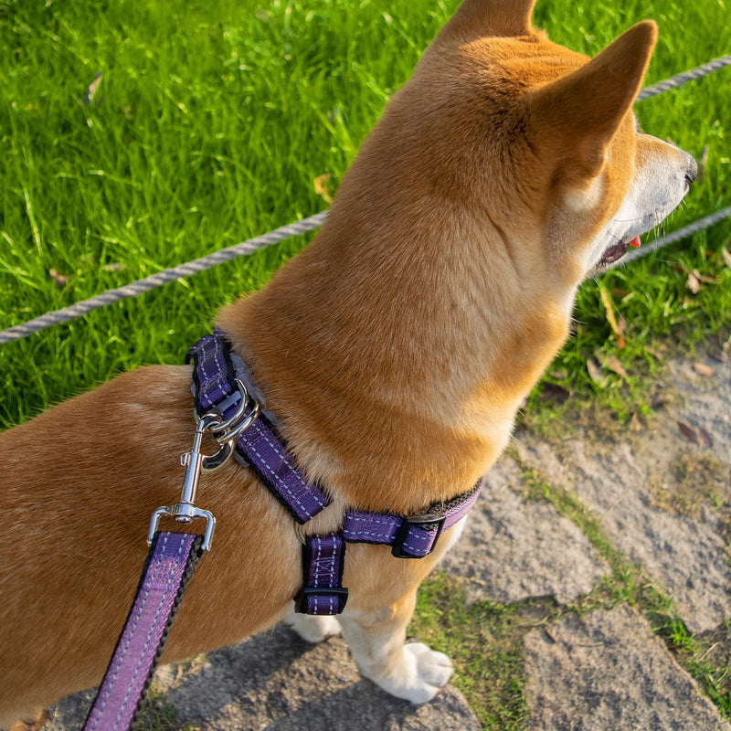 Reflective Dog Harness Collar Leash Set, Step-in Dog Harness for Large Dogs No Pull, Easy to Put in&Take Off, Adjustable Dog Harness Collar Leash Set for Large Dogs, Purple 3 Combos-Purple L:24" to 36"-in chest - PawsPlanet Australia