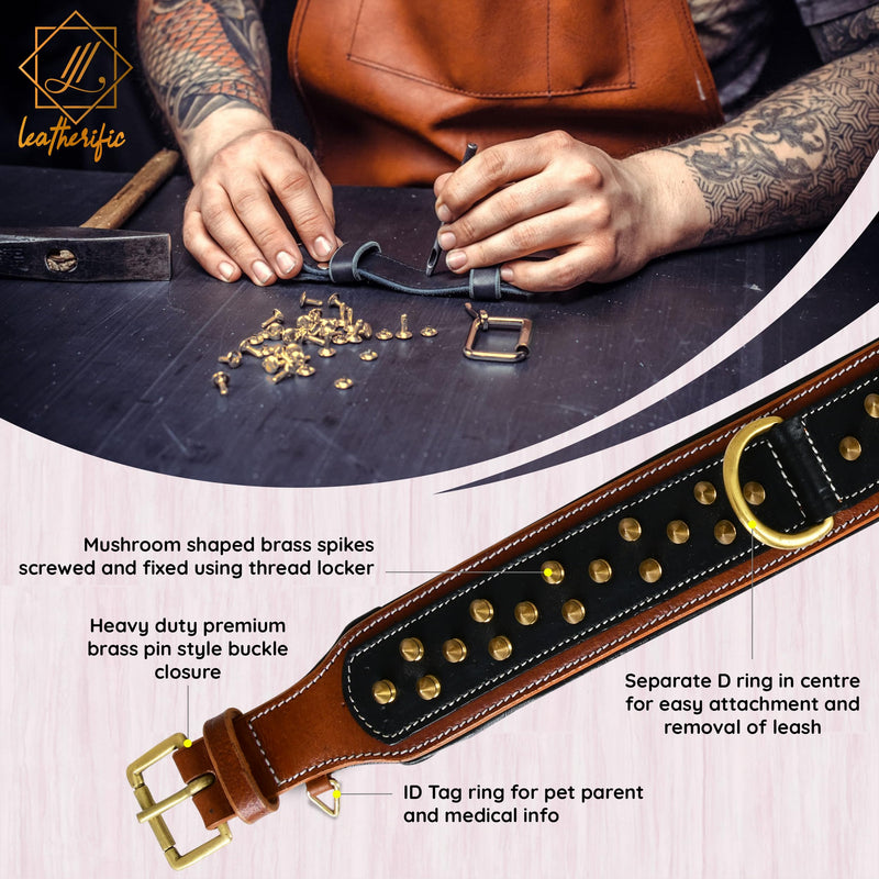 Genuine Leather Dog Collar by Leatherific, Premium Bridle Leather, Heavy Duty, Padded, Strong, Screwed Spikes, Medium, Large, Extra Large Breeds, 2" Wide (Charcoal, Neck Size 22"-26") Charcoal Neck Size 22"-26" - PawsPlanet Australia