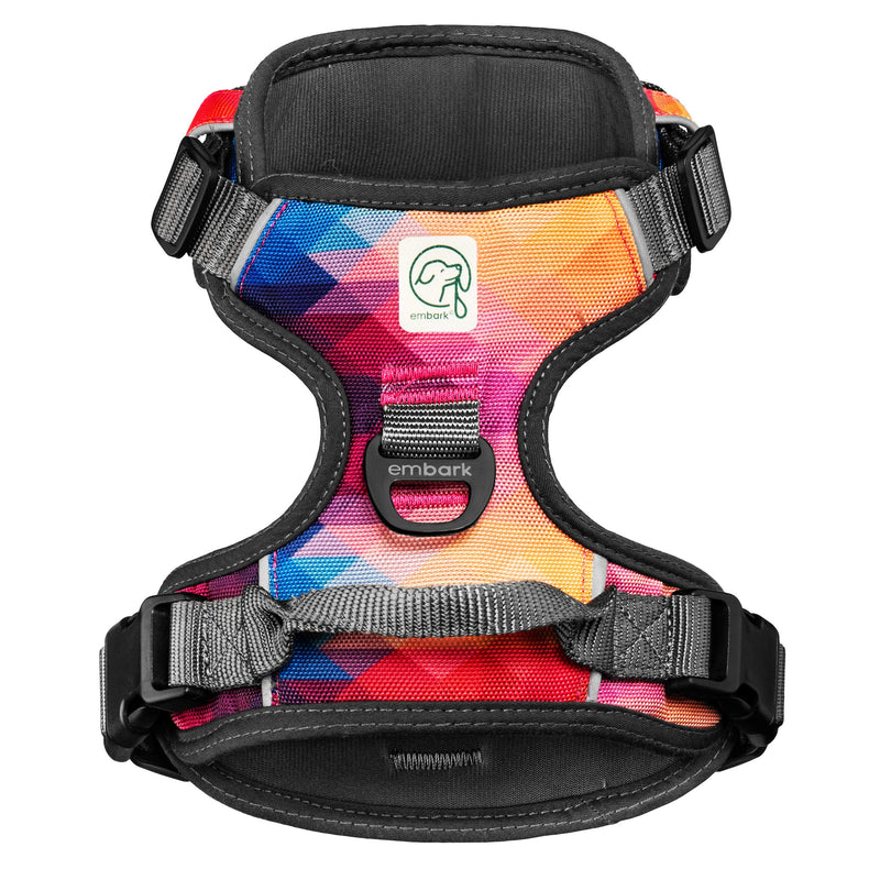 Embark Urban Dog Harness with Sierra Leash with Leash Clips, 6 feet of Leash Length, Adjustable, Soft & Padded for Comfort, No Chafing, rubbing or discomfort for Your Dog (Large)