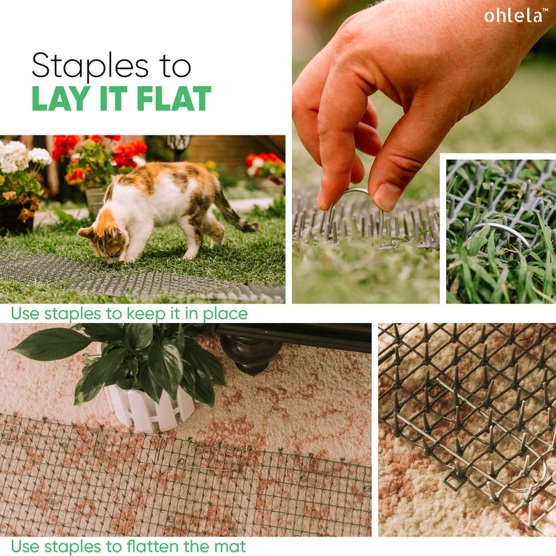 6.5ft Scat Mat for Cats - Cat Scat Mat with 12 Garden Staples. 78 inch x 11 inch PP Plastic Cat Spike Mat is Effective for Cat Repellent Outdoor & Indoor. Pet Deterrent Mat to Keep Cats & Dogs Away 6.5ft x 12in (1 Pack) Gray - PawsPlanet Australia
